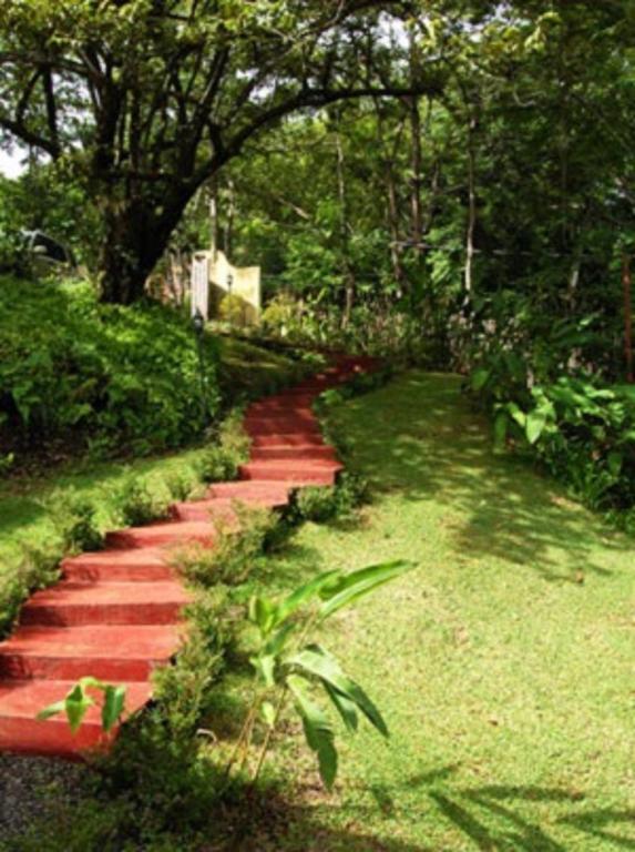 Amatierra Retreat And Wellness Center Bolson (San Jose) Bagian luar foto
