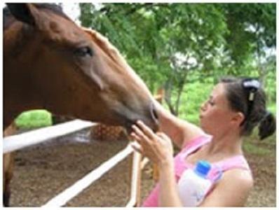 Amatierra Retreat And Wellness Center Bolson (San Jose) Bagian luar foto