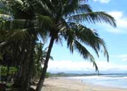 Amatierra Retreat And Wellness Center Bolson (San Jose) Bagian luar foto